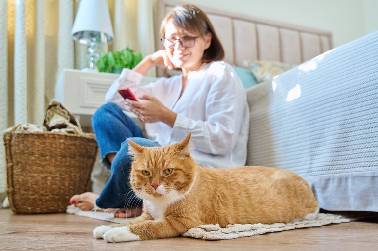 Relaxed orange and white cat lying on a rug in a sunny bedroom while its owner sits nearby on the floor using a smartphone
