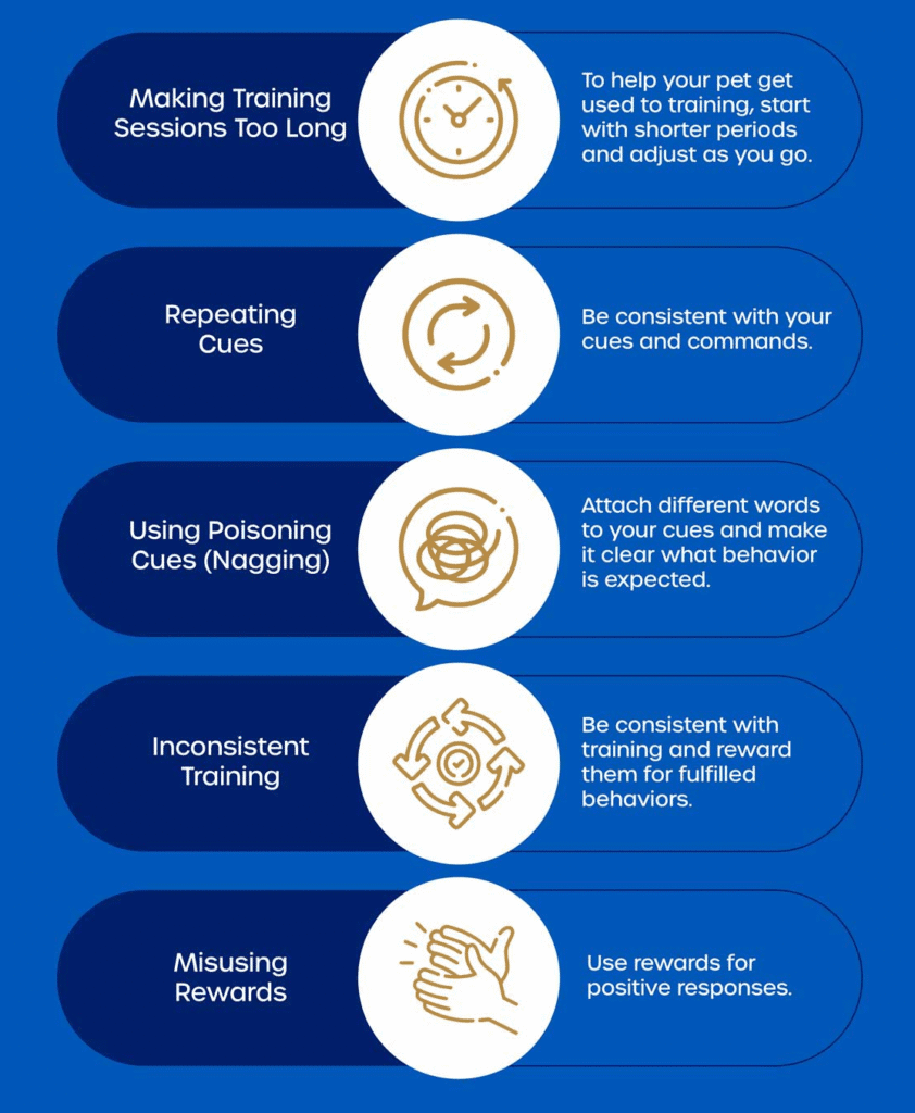 Blue infographic listing five common dog training mistakes with simple icons and short tips, including making training sessions too long, repeating cues, using poisoning cues, inconsistent training, and misusing rewards.