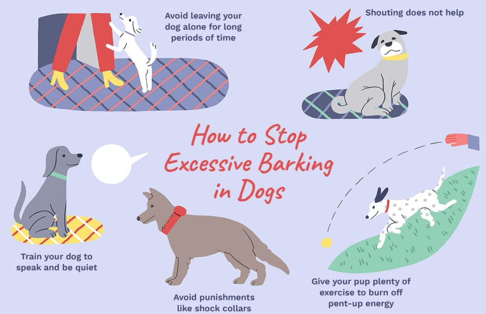 Illustrated infographic showing several cartoon dogs with tips on how to reduce excessive barking, including avoiding long periods alone, not shouting, training quiet cues, skipping harsh tools, and providing plenty of exercise.