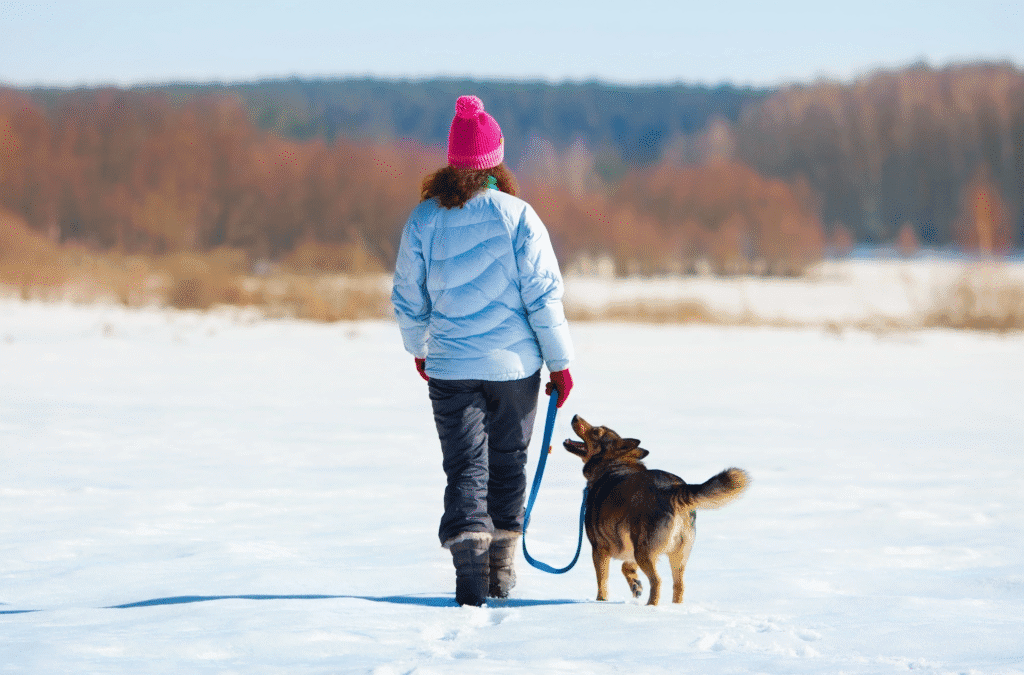 Person in a bright winter coat walking a small brown dog on a leash across a snowy field, with the dog looking up at them.