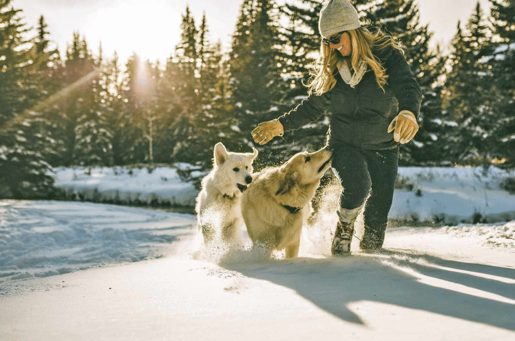Woman in winter clothing running through deep snow with two happy dogs in a snowy forest at sunset.