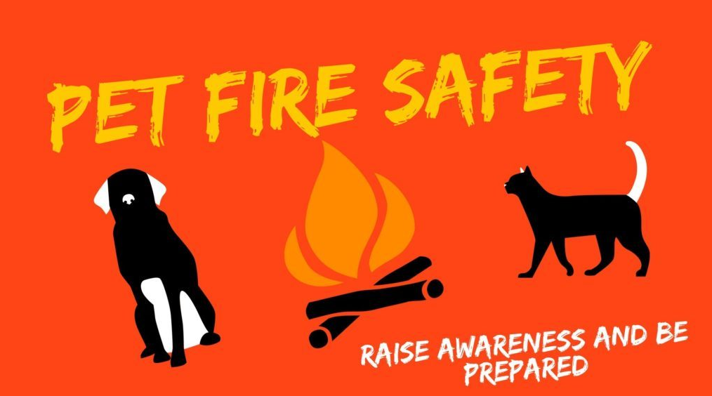 Bright orange graphic with the words PET FIRE SAFETY above a campfire icon, black silhouettes of a dog and a cat, and the slogan Raise awareness and be prepared.