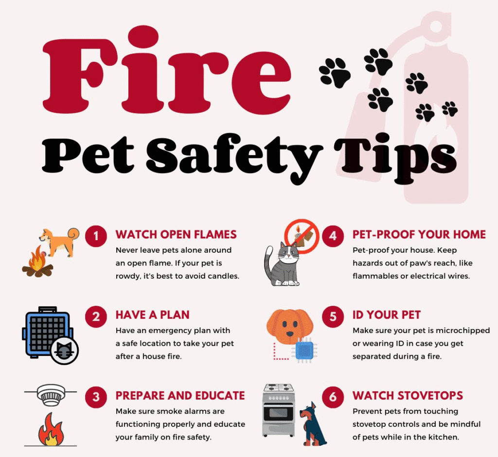 Infographic titled Fire Pet Safety Tips showing six illustrated steps for pet fire safety, including watching open flames, having an emergency plan, preparing and educating the family, pet proofing the home, making sure pets have ID, and watching stovetops.