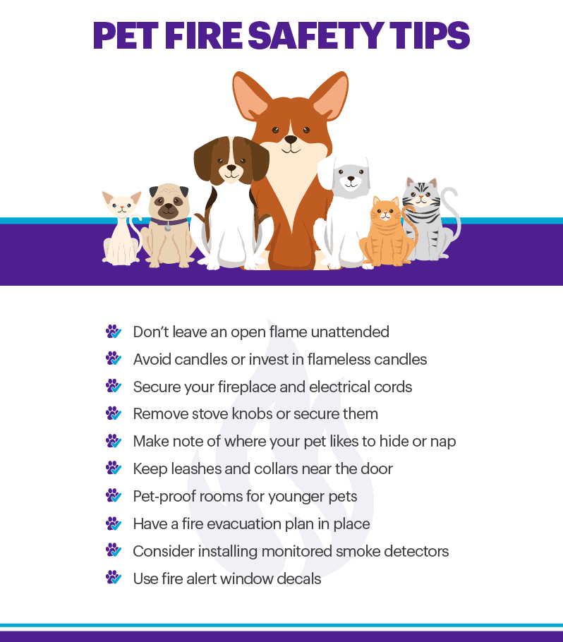 Infographic titled Pet Fire Safety Tips with cartoon dogs and cats at the top and a checklist of advice such as never leaving flames unattended, securing fireplaces and cords, keeping leashes by the door, pet proofing rooms, having an evacuation plan, using monitored smoke detectors and placing fire alert window decals.