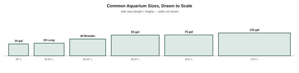 Original diagram: six common aquarium sizes drawn to the same scale (length × height, side view).