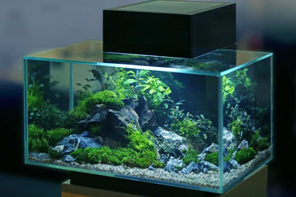 Aquarium Sizes Explained